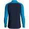 Sweat 1/4 ziptop Iconic