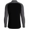 Sweat 1/4 ziptop Iconic
