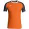 Maillot Iconic MC