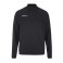Sweat 1/2 zip Evolve 2.0