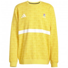 Maillot de gardien Exterieur FFHB 25/26 - Adidas A_ATH-JM8926-YEGOLD-