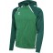 Veste à capuche HMLLead 2.0