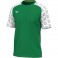 Maillot Game Kongougara