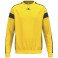 Sweat GK CMPT 3 Wings