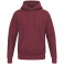 Sweat à capuche TS
