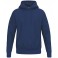 Sweat à capuche TS