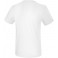 Tee-shirt Fonctionnel Teamsport