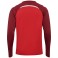 Sweat HmlLead 2.0