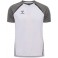 Polo HmlLead 2.0
