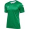Maillot HmlMatch Legend