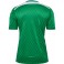 Maillot HmlMatch Legend