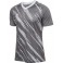 Maillot HmlMatch Triumph