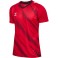 Maillot HmlMatch Triumph