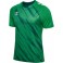 Maillot HmlMatch Triumph