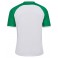 Maillot HmlMatch League