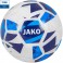 Ballon d'entraînement River