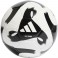Ballon Tiro Club