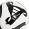 Ballon Tiro Club