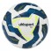 Ballon d'entraînement Team