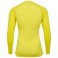Baselayer HMLBL Performance