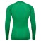 Baselayer HMLBL Performance