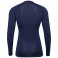 Baselayer HMLBL Performance