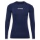 Baselayer HMLBL Performance