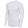 Baselayer HMLBL Performance