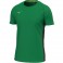 Maillot de running Mizuno RB