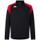 Sweat 1/4 zip Lovato