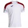 Maillot Championship VIII
