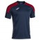 Maillot Championship VIII