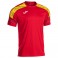 Maillot Championship VIII