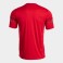 Maillot Championship VIII