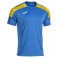 Maillot Championship VIII