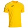 Maillot Championship VIII