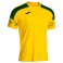 Maillot Championship VIII