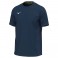 T-shirt Mizuno Training
