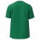T-shirt Mizuno Training