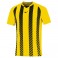 Maillot Shimizu Team