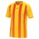 Maillot Shimizu Team