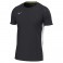T-shirt de running Mizuno RB