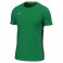 T-shirt de running Mizuno RB