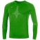 Baselayer Team ML