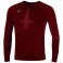 Baselayer Team ML