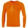 Baselayer Team ML