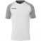 Maillot Ambition 28