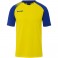 Maillot Ambition 28
