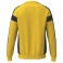 Sweat GK CMPT Wings