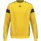 Sweat GK CMPT Wings